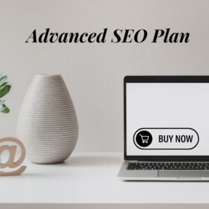 Advanced SEO Plan