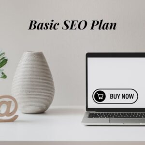 Basic SEO Plan