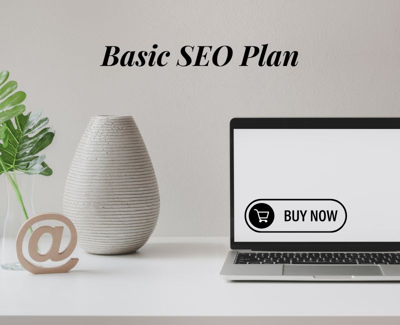 Basic SEO Plan