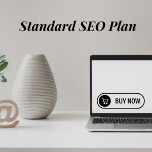 Standard SEO Plan